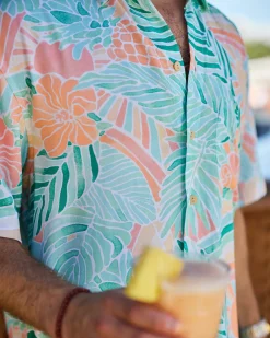The Hawaii