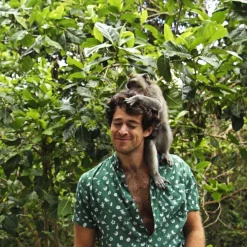 The Monkey Business