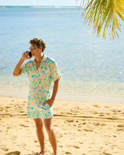 The St. Lucia