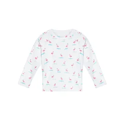 The Surfing Flamingos